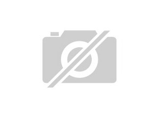 Suche Wellensittich Pärchen